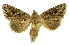  ( - INB0003085132)  @11 [ ] Copyright (2012) Juan Mata Lorenzen Unspecified