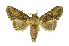  ( - INB0003085156)  @11 [ ] Copyright (2012) Juan Mata Lorenzen Unspecified