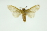  ( - INB0003087455)  @11 [ ] Copyright (2012) Juan Mata Lorenzen Unspecified