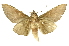  ( - INB0003087480)  @12 [ ] Copyright (2012) J. Montero INBio
