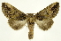  ( - INB0003087482)  @15 [ ] Copyright (2012) J. Montero INBio
