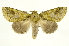  ( - INB0003087740)  @15 [ ] Copyright (2012) J. Montero INBio