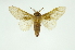  ( - INB0003088260)  @11 [ ] Copyright (2012) Juan Mata Lorenzen Unspecified