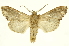  ( - INB0003089168)  @12 [ ] Copyright (2012) J. Montero INBio
