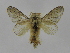  ( - INB0003101979)  @13 [ ] Copyright (2012) J. Montero Instituto Nacional de Biodiversidad
