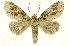  ( - INB0003103645)  @11 [ ] Copyright (2012) J. Montero INBio