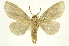  ( - INB0003103645)  @11 [ ] Copyright (2012) J. Montero INBio