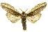  ( - INB0003103656)  @14 [ ] Copyright (2012) Juan Mata Lorenzen INBio