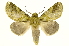  ( - INB0003103657)  @15 [ ] Copyright (2012) J. Montero INBio