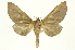  ( - INB0003103657)  @13 [ ] Copyright (2012) J. Montero INBio