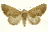  ( - INB0003116438)  @14 [ ] Copyright (2012) Juan Mata Lorenzen Unspecified