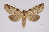  ( - INB0003116455)  @14 [ ] Copyright (2012) I. Chacon Instituto Nacional de Biodiversidad