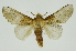  ( - INB0003116532)  @11 [ ] Copyright (2012) Juan Mata Lorenzen Unspecified