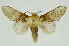  ( - INB0003116542)  @11 [ ] Copyright (2012) Juan Mata Lorenzen Unspecified