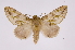  ( - INB0003116577)  @14 [ ] Copyright (2012) I. Chacon Instituto Nacional de Biodiversidad