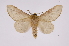  ( - INB0003116577)  @14 [ ] Copyright (2012) I. Chacon Instituto Nacional de Biodiversidad