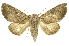  ( - INB0003116753)  @11 [ ] Copyright (2012) Juan Mata Lorenzen INBio