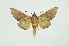  ( - INB0003116765)  @11 [ ] Copyright (2012) Juan Mata Lorenzen INBio