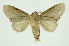  ( - INB0003120614)  @11 [ ] Copyright (2012) Juan Mata Lorenzen Unspecified