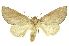 ( - INB0003120639)  @11 [ ] Copyright (2012) Juan Mata Lorenzen INBio