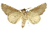  ( - INB0003120640)  @11 [ ] Copyright (2012) J. Montero INBio
