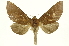  ( - INB0003120706)  @14 [ ] Copyright (2012) J. Montero INBio