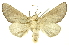  ( - INB0003120768)  @11 [ ] Copyright (2012) Juan Mata Lorenzen INBio