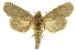  ( - INB0003121065)  @14 [ ] Copyright (2012) Juan Mata Lorenzen INBio