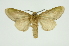  ( - INB0003125266)  @11 [ ] Copyright (2012) Juan Mata Lorenzen Unspecified