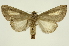  ( - INB0003125300)  @13 [ ] Copyright (2012) Juan Mata Lorenzen Unspecified