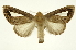  ( - INB0003125300)  @12 [ ] Copyright (2012) Juan Mata Lorenzen Unspecified