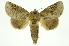  ( - INB0003125982)  @11 [ ] Copyright (2012) Juan Mata Lorenzen Unspecified