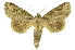  ( - INB0003126145)  @11 [ ] Copyright (2012) Juan Mata Lorenzen Unspecified
