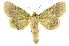  ( - INB0003126145)  @11 [ ] Copyright (2012) Juan Mata Lorenzen Unspecified