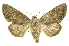  ( - INB0003126153)  @15 [ ] Copyright (2012) Juan Mata Lorenzen INBio