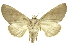  ( - INB0003126153)  @13 [ ] Copyright (2012) Juan Mata Lorenzen INBio