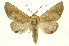  ( - INB0003130797)  @14 [ ] Copyright (2012) Juan Mata Lorenzen Unspecified