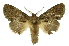 ( - INB0003130803)  @14 [ ] Copyright (2012) Juan Mata Lorenzen Unspecified