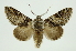  ( - INB0003131280)  @14 [ ] Copyright (2012) Juan Mata Lorenzen Unspecified