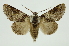  ( - INB0003131281)  @15 [ ] Copyright (2012) Juan Mata Lorenzen Unspecified