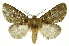  ( - INB0003131283)  @12 [ ] Copyright (2012) Juan Mata Lorenzen Unspecified