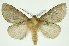  ( - INB0003131283)  @12 [ ] Copyright (2012) Juan Mata Lorenzen Unspecified