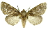  ( - INB0003131284)  @14 [ ] Copyright (2012) Juan Mata Lorenzen Unspecified