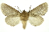  ( - INB0003131284)  @12 [ ] Copyright (2012) Juan Mata Lorenzen Unspecified