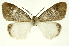  ( - INB0003131285)  @14 [ ] Copyright (2012) Juan Mata Lorenzen Unspecified