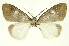  ( - INB0003131285)  @14 [ ] Copyright (2012) Juan Mata Lorenzen Unspecified