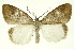  ( - INB0003131286)  @14 [ ] Copyright (2012) Juan Mata Lorenzen Unspecified
