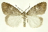  ( - INB0003131286)  @14 [ ] Copyright (2012) Juan Mata Lorenzen Unspecified