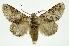  ( - INB0003131290)  @14 [ ] Copyright (2012) Juan Mata Lorenzen Unspecified