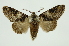  ( - INB0003131296)  @14 [ ] Copyright (2012) Juan Mata Lorenzen Unspecified